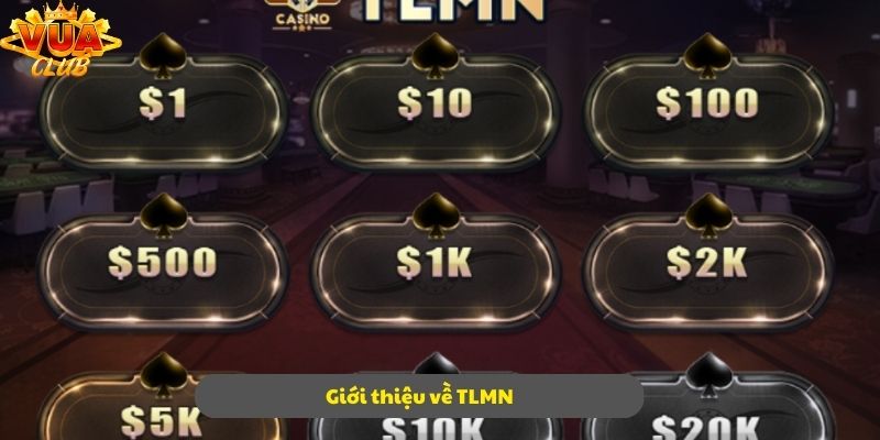 Tìm hiểu những nét cơ bản nhất về sản phẩm TLMN